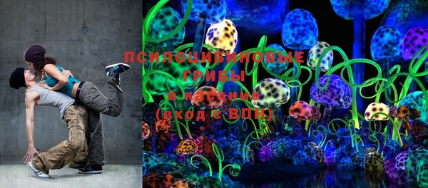 ГАЛЛЮЦИНОГЕННЫЕ ГРИБЫ Верхнеуральск