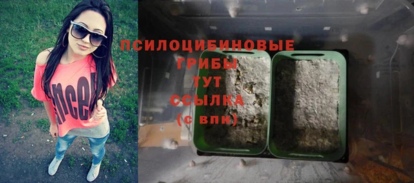 эйфоретик Верея