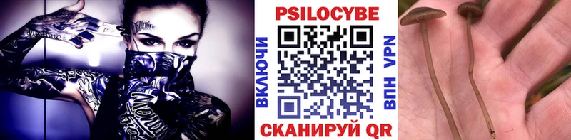 дарнет шоп  Новохопёрск  Галлюциногенные грибы ЛСД 
